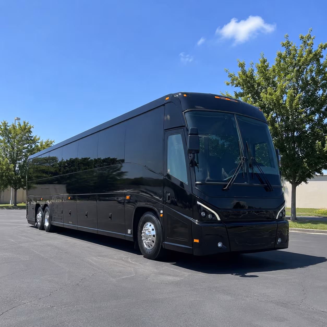 forget the freeway stress long distance bus rentals from san jacinto handle the drive