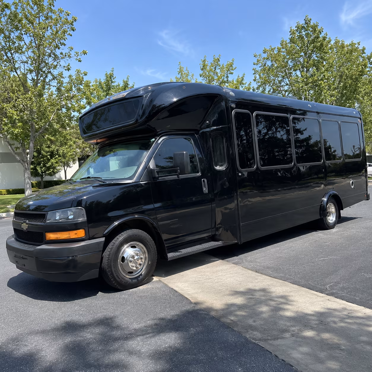san jacinto 15 passenger party bus